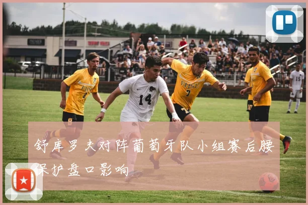 舒库罗夫对阵葡萄牙队小组赛后腰保护盘口影响
