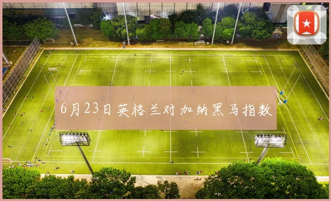 6月23日英格兰对加纳黑马指数