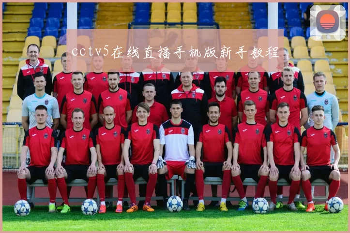 cctv5在线直播手机版新手教程