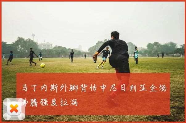 马丁内斯外脚背传中尼日利亚全场沸腾强度拉满